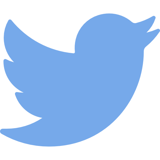Twitter (X)